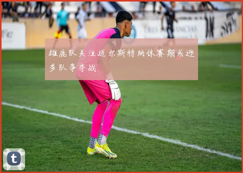 雄鹿队关注迈尔斯特纳休赛期或迎多队争夺战