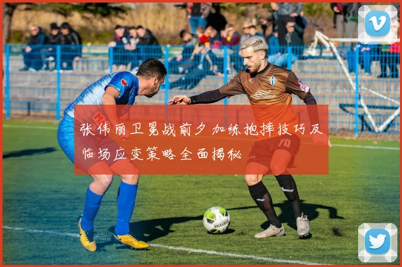 张伟丽卫冕战前夕加练抱摔技巧及临场应变策略全面揭秘